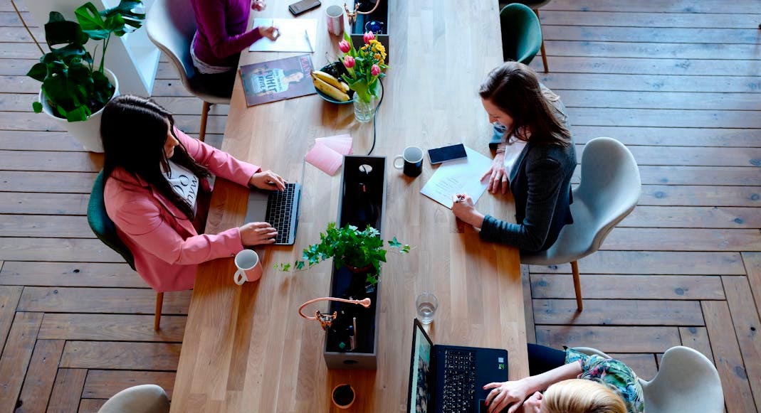 Startup Business Suite